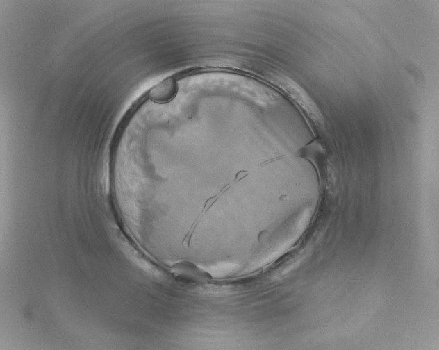 X0000115331036200911231407