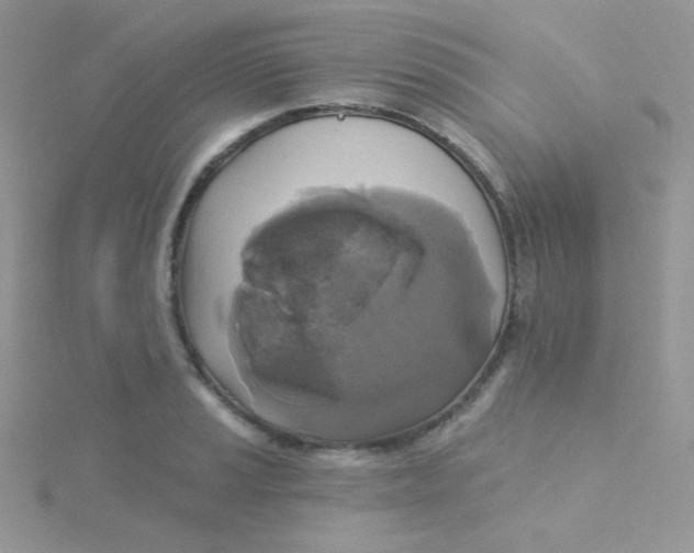 X0000115331037200911231407