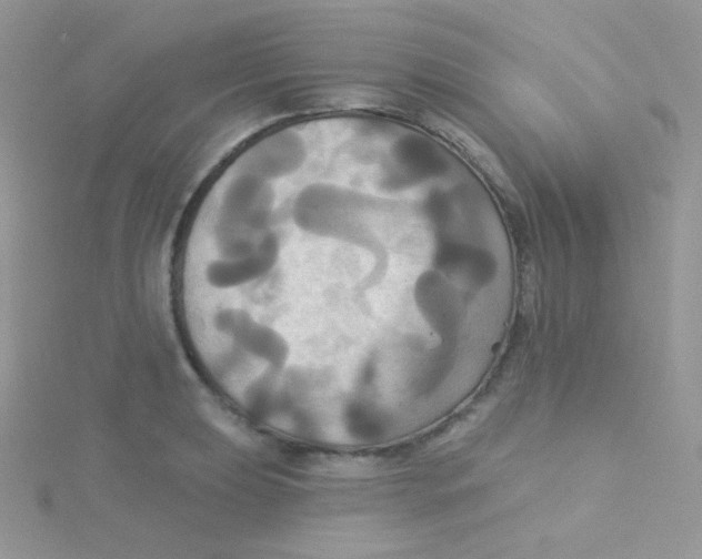 X0000115331039200911231407