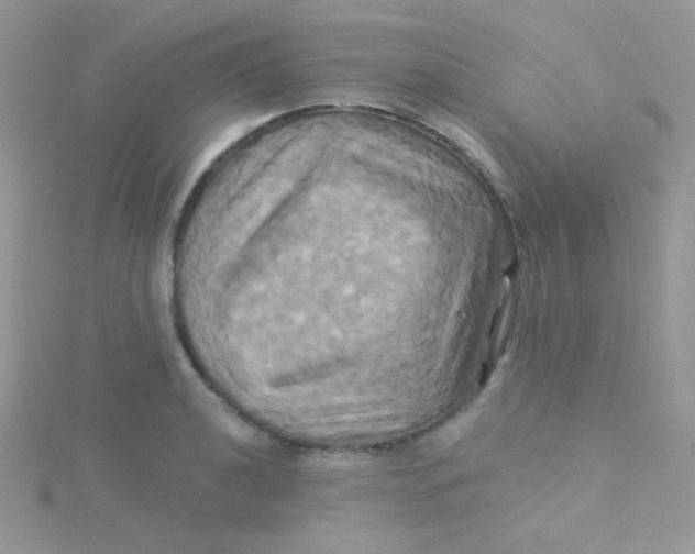 X0000115331040200911231407