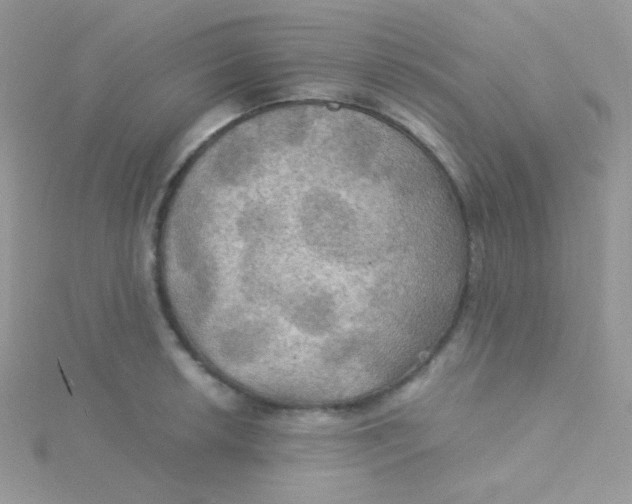 X0000115331042200911231407