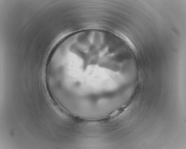 X0000115331043200911231407