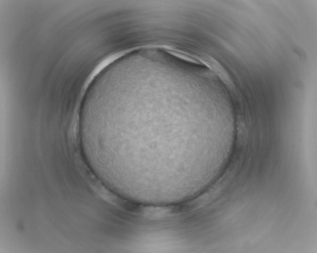 X0000115331044200911231407