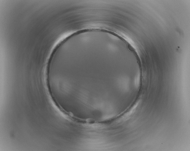 X0000115331045200911231408