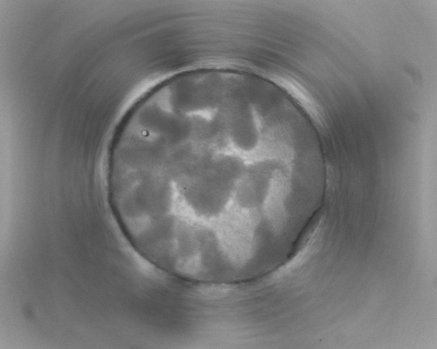 X0000115331046200911231408