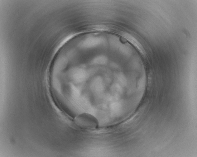 X0000115331047200911231408