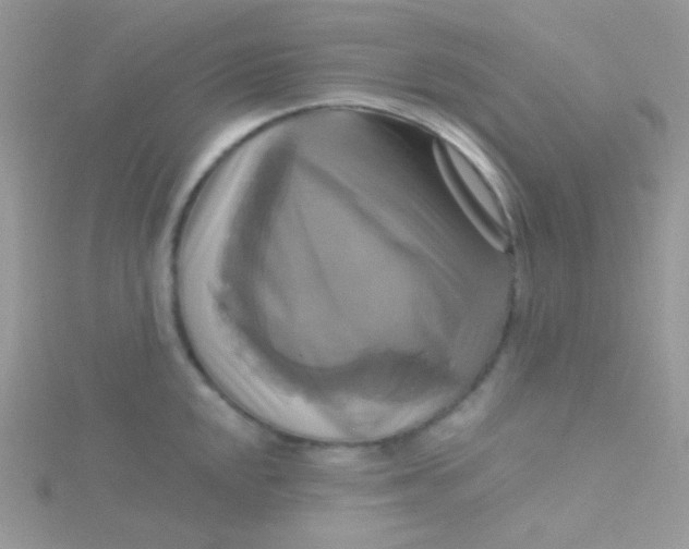 X0000115331048200911231408