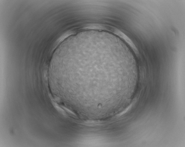 X0000115331049200911231408