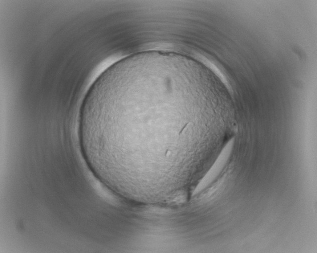 X0000115331050200911231408