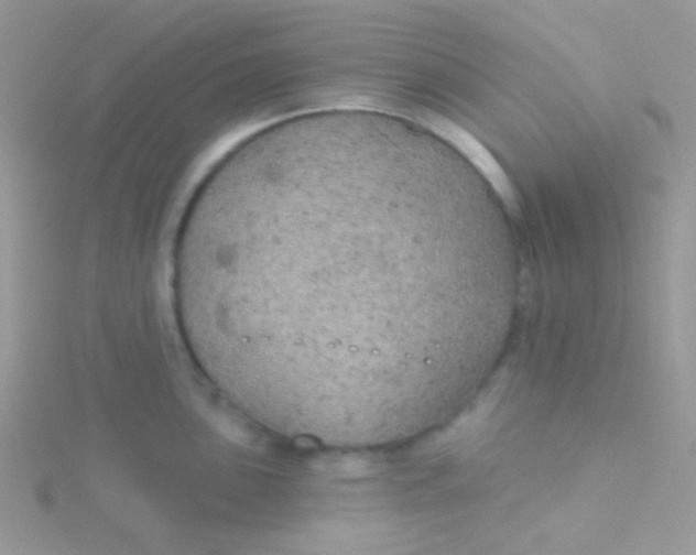 X0000115331051200911231408