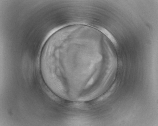 X0000115331052200911231408