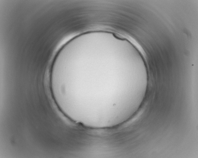 X0000115331053200911231408