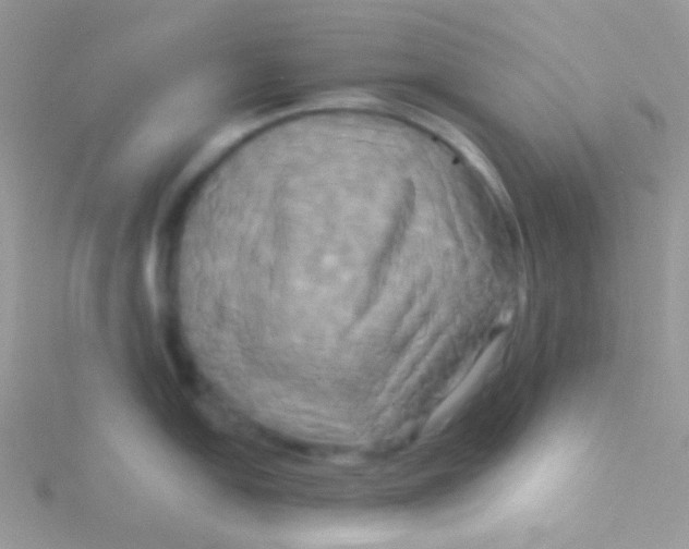 X0000115331054200911231408