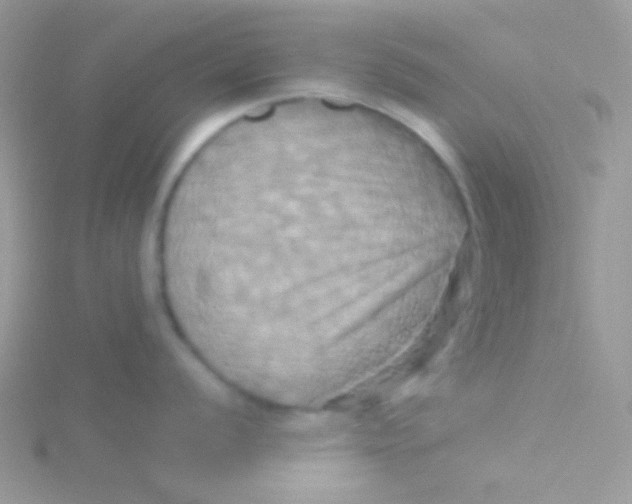 X0000115331056200911231408