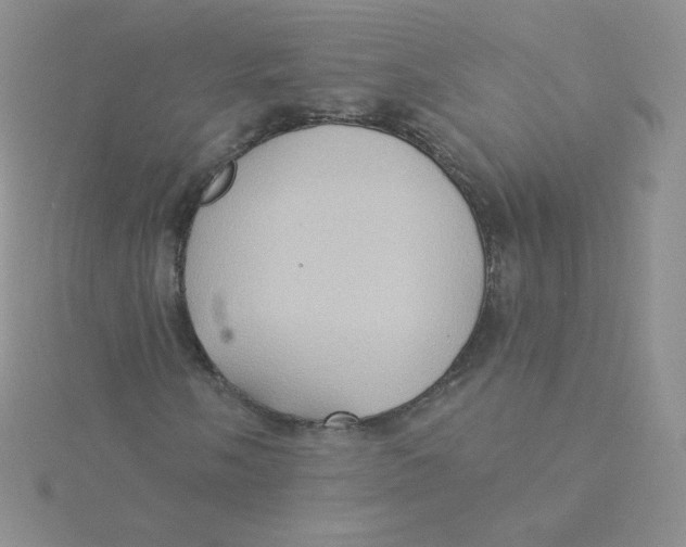 X0000115331058200911231407