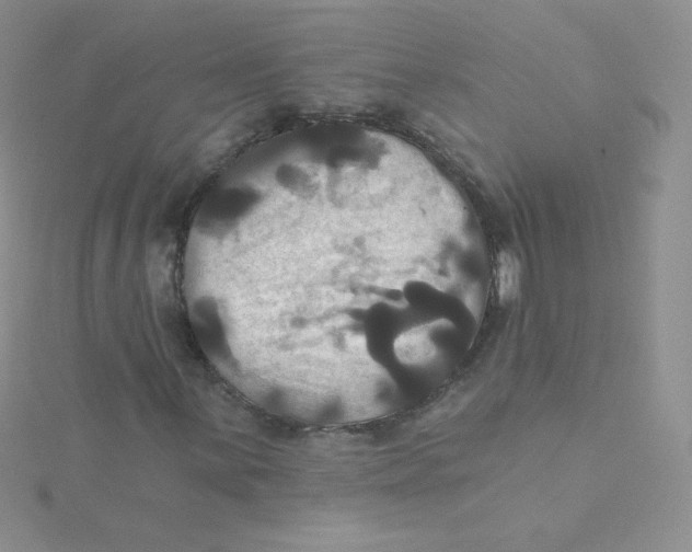 X0000115331059200911231407