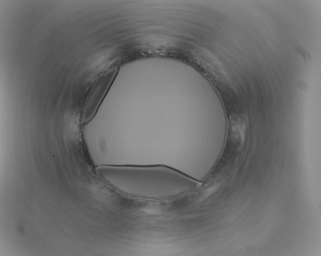 X0000115331060200911231407