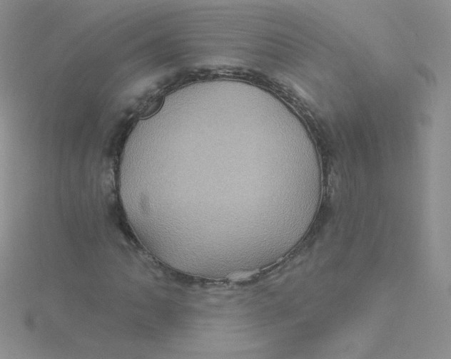 X0000115331062200911231407