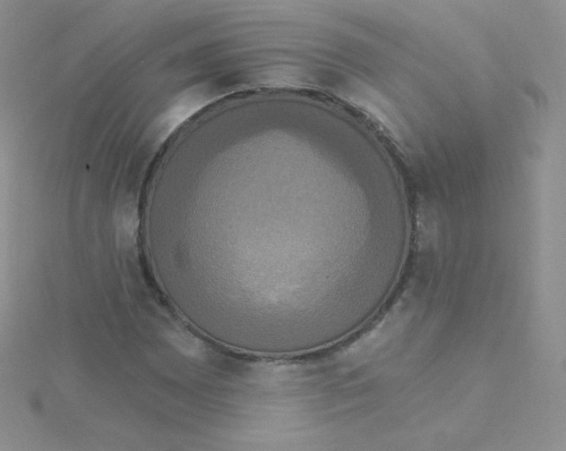 X0000115331065200911231407