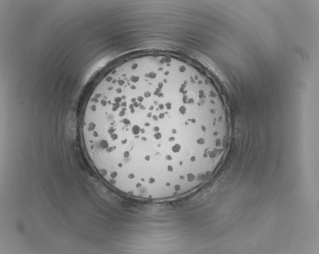 X0000115331067200911231407