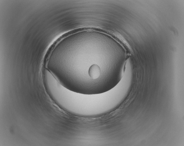 X0000115331068200911231407