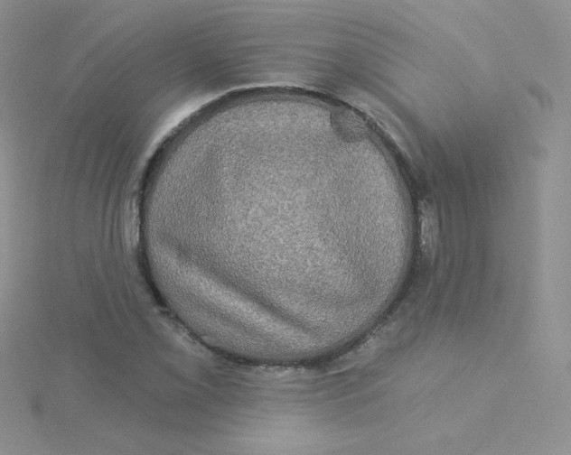 X0000115331069200911231407