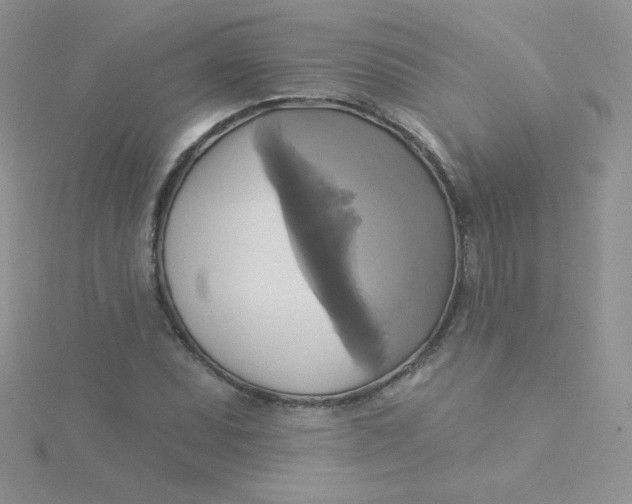 X0000115331071200911231407