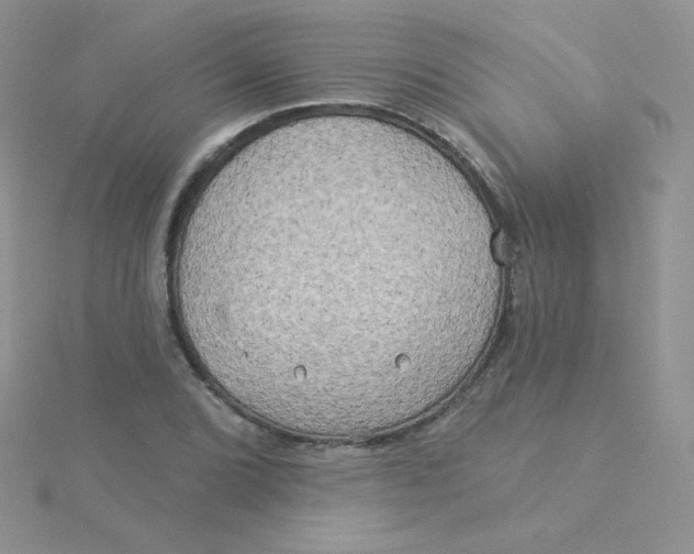 X0000115331072200911231407