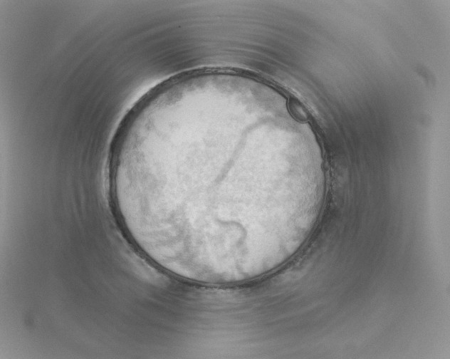 X0000115331076200911231407