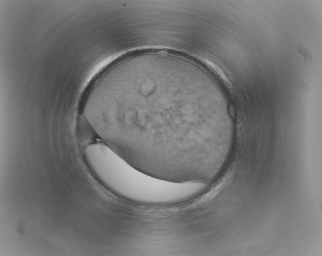 X0000115331077200911231407