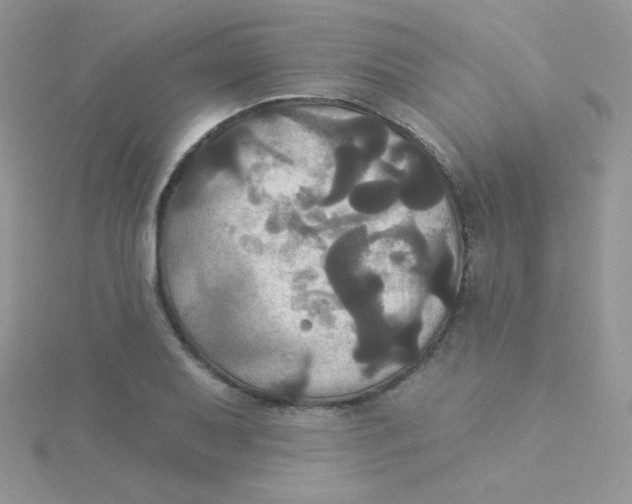 X0000115331079200911231407