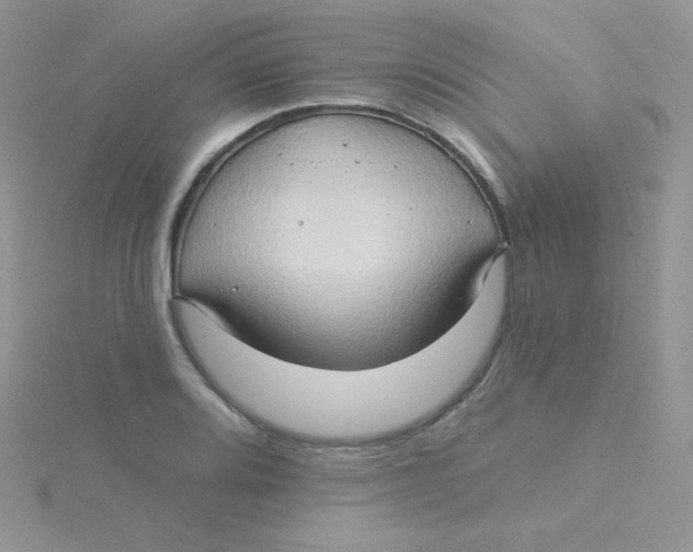 X0000115331080200911231407