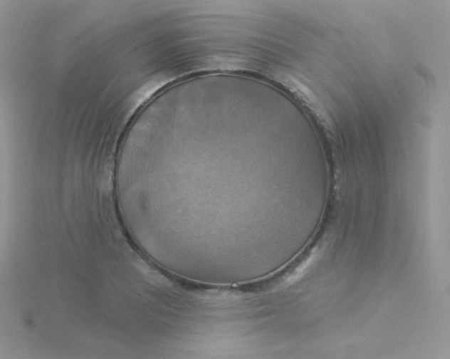 X0000115331081200911231407