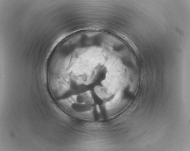 X0000115331083200911231407