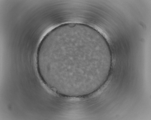 X0000115331085200911231407