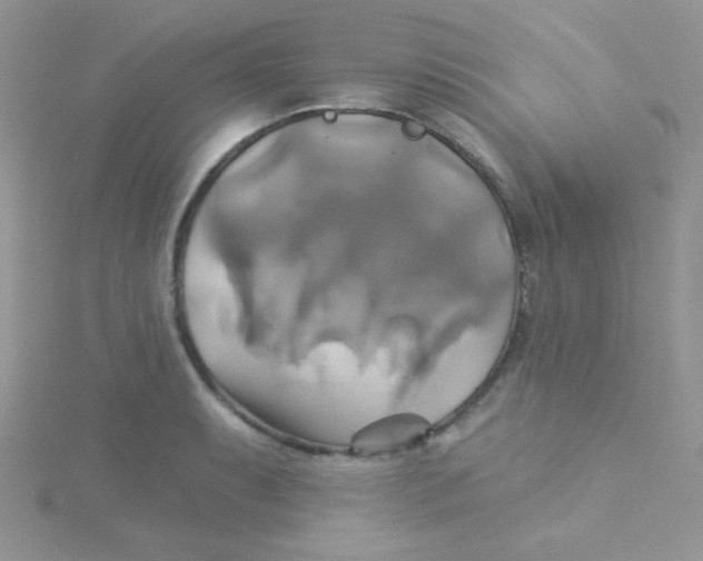 X0000115331087200911231407