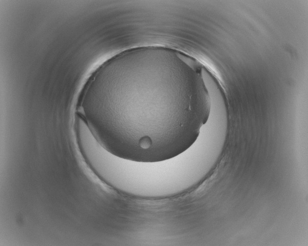 X0000115331088200911231407