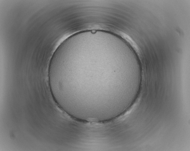 X0000115331089200911231407