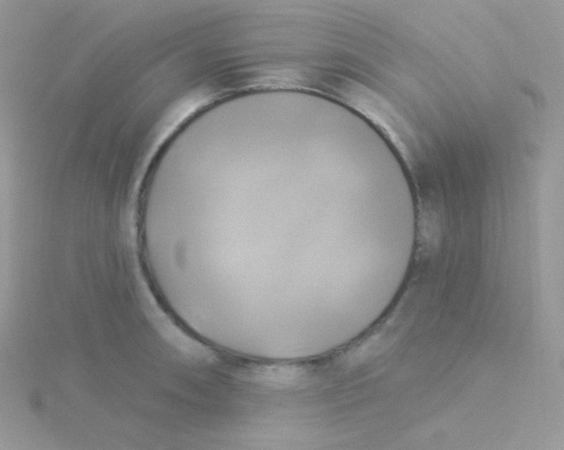 X0000115331090200911231407