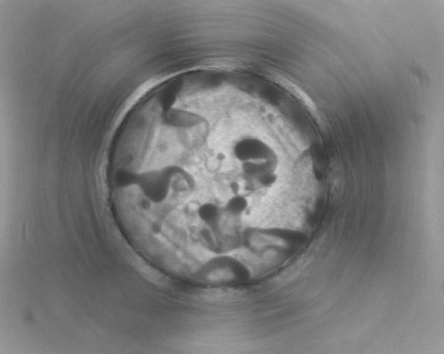 X0000115331091200911231407