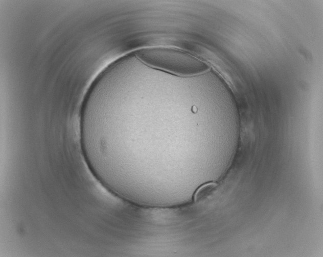 X0000115331092200911231407