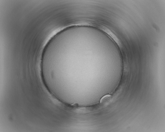 X0000115331093200911231407