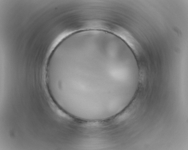 X0000115331094200911231407