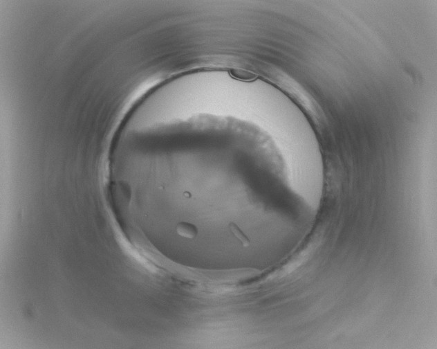 X0000115331095200911231407