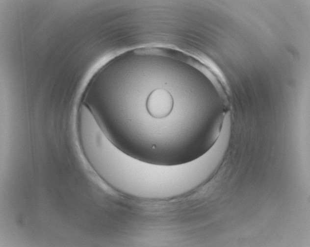 X0000115331096200911231407