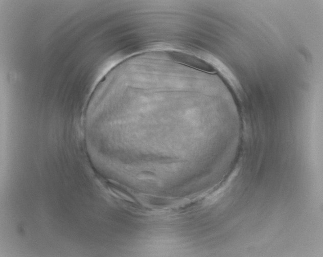 X0000115331097200911231407