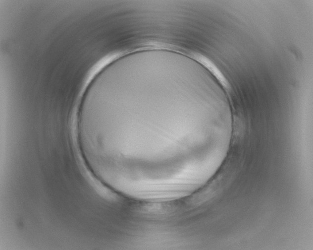 X0000115331098200911231407