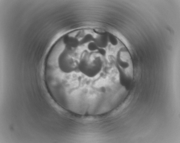 X0000115331099200911231406