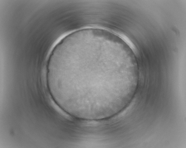 X0000115331100200911231406