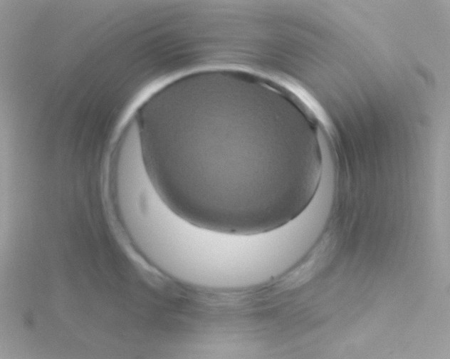 X0000115331101200911231406